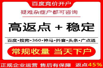 百度竞价推广公司经典案例解析：广告投放策略的智慧